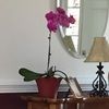 lynnlane111